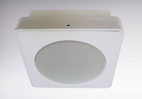 Surface Mount Redback Audio